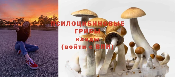 скорость Алексин