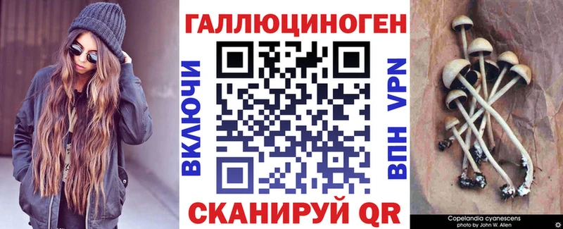 где найти наркотики  Иланский  Галлюциногенные грибы ЛСД 